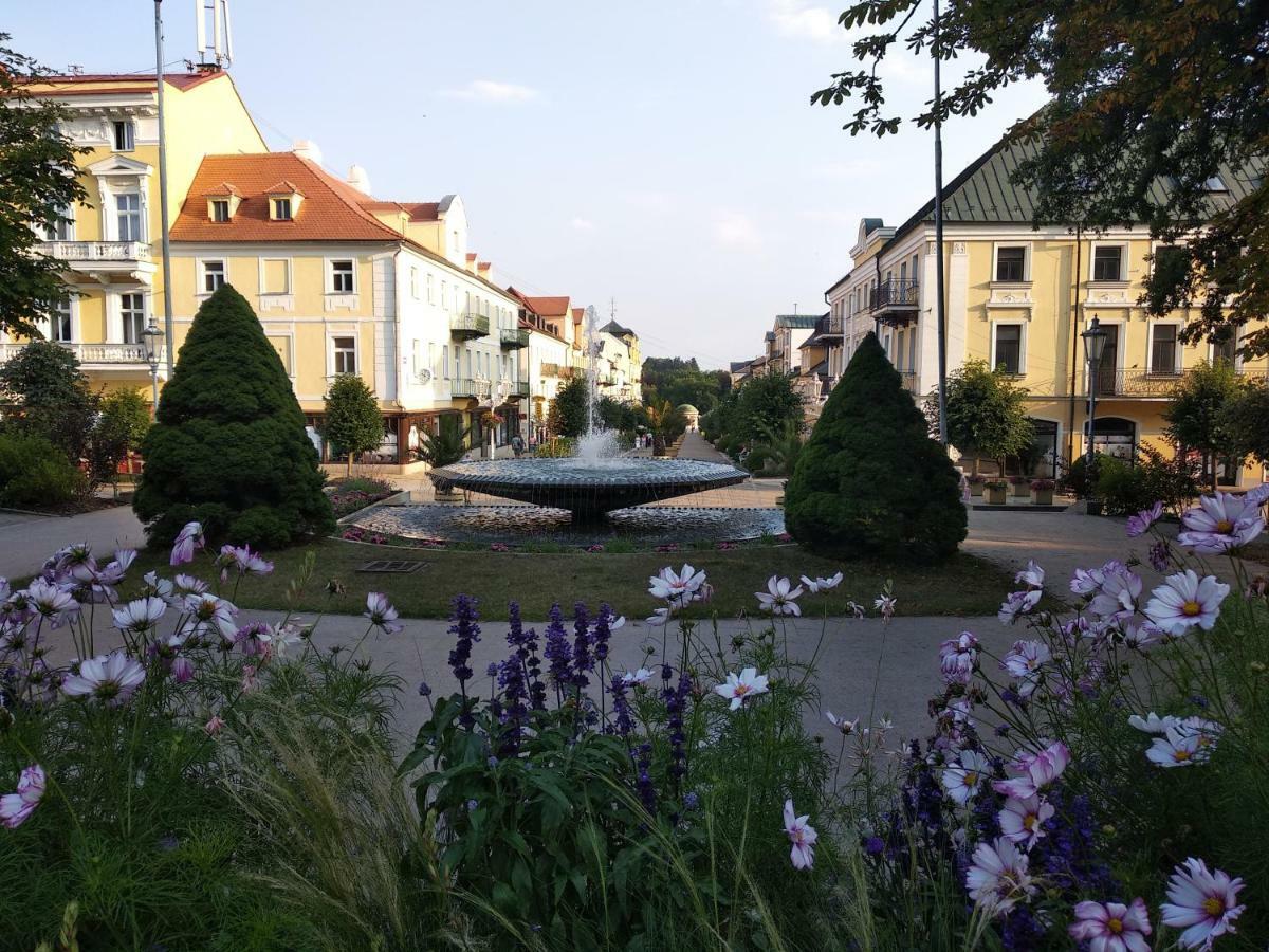 Apartments Česká Františkovy Lázně Esterno foto